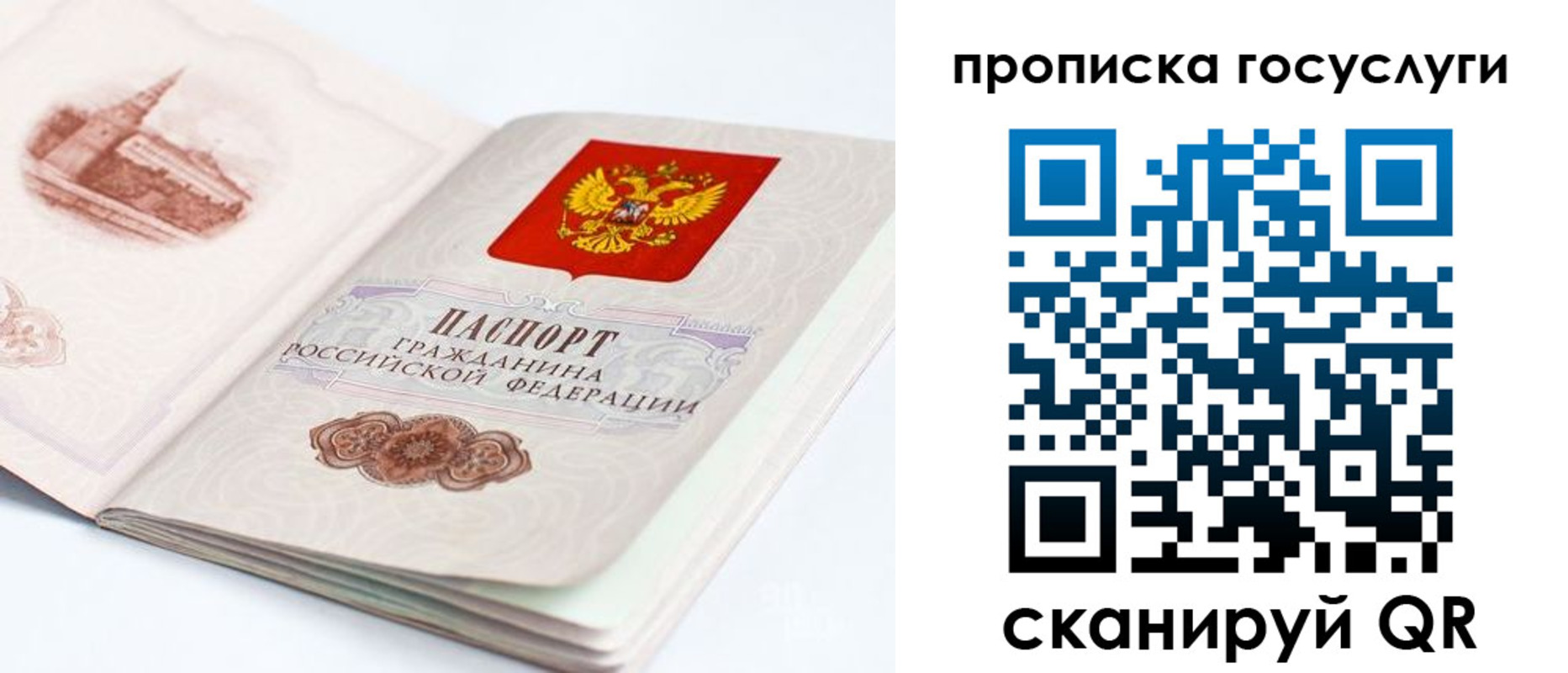 временная регистрация в Касимове